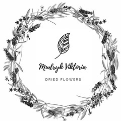 Mudryk Viktoria Dried Flowers
