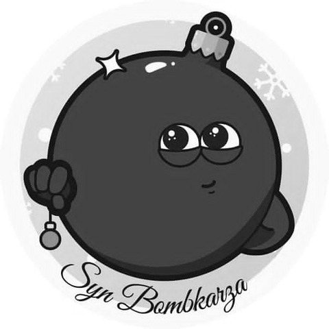 Syn Bombkarza